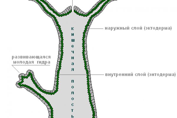 Как зайти на блэк спрут с айфона