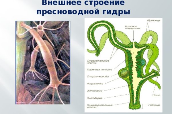 Зеркало блэкспрут torbazah