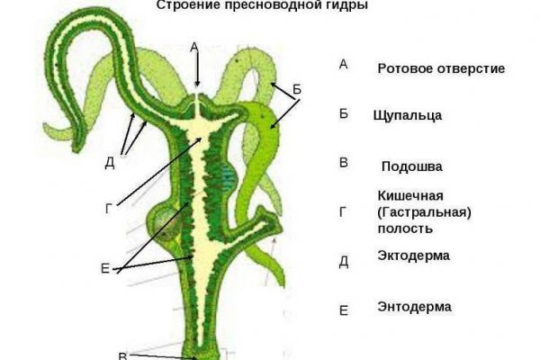 Официальное зеркало блэкспрут